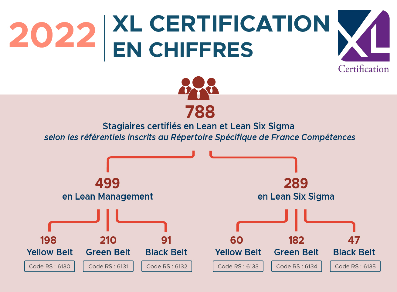 XL Certification en chiffres