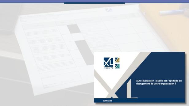 Auto-évaluation : quelle est l'aptitude au changement de votre organisation ?- Présentation